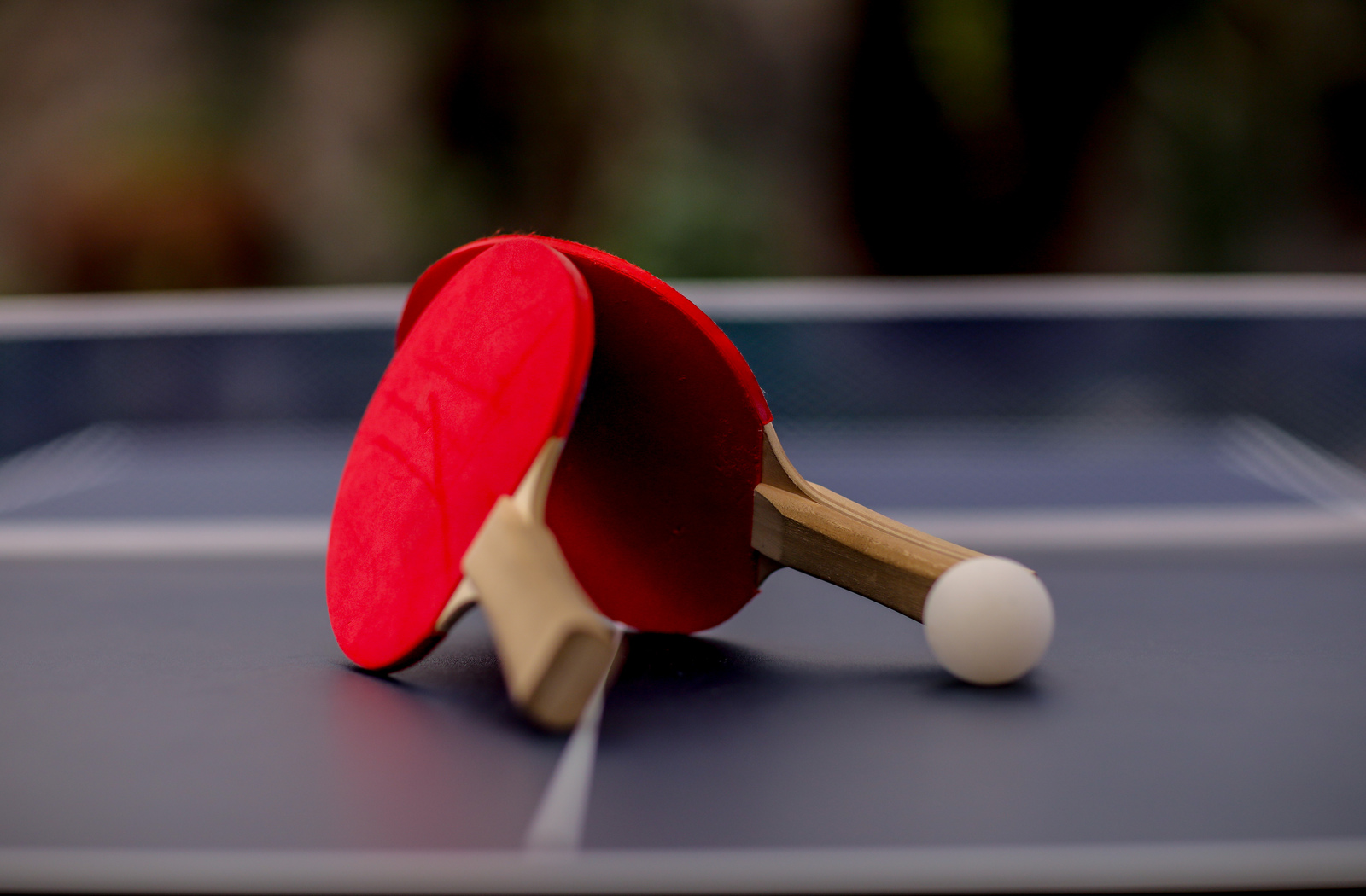 Stoni tenis